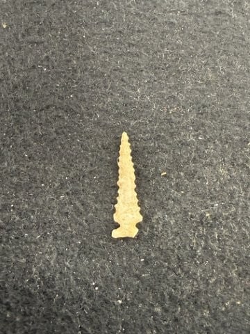 Arrow Point Indian Artifact Arrowhead - 2