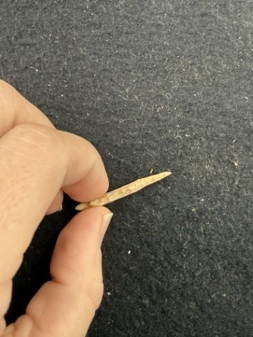 Arrow Point Indian Artifact Arrowhead - 3