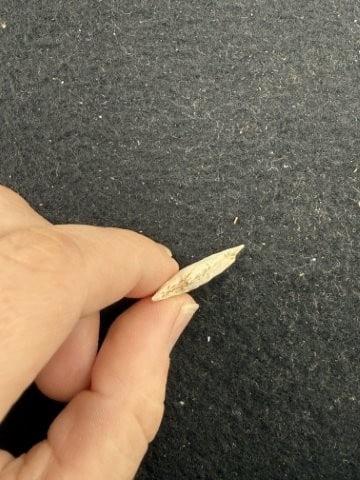Arrow Point Indian Artifact Arrowhead - 3