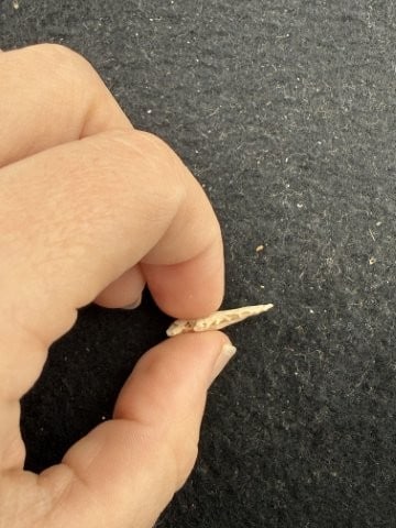 Arrow Point Indian Artifact Arrowhead - 3