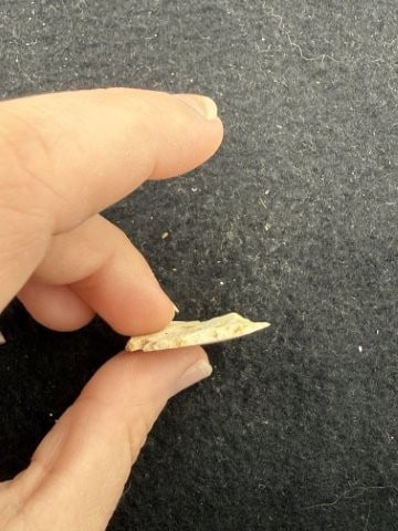 Arrow Point Indian Artifact Arrowhead - 3