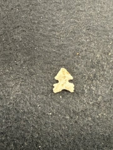Arrow Point Indian Artifact Arrowhead - 2