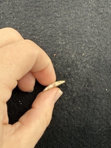 Arrow Point Indian Artifact Arrowhead - 3