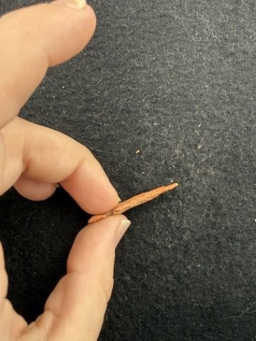 Arrow Point Indian Artifact Arrowhead - 3
