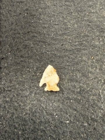 Arrow Point Indian Artifact Arrowhead - 2