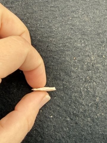 Arrow Point Indian Artifact Arrowhead - 3