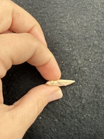 Arrow Point Indian Artifact Arrowhead - 3
