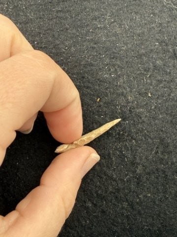 Arrow Point Indian Artifact Arrowhead - 3