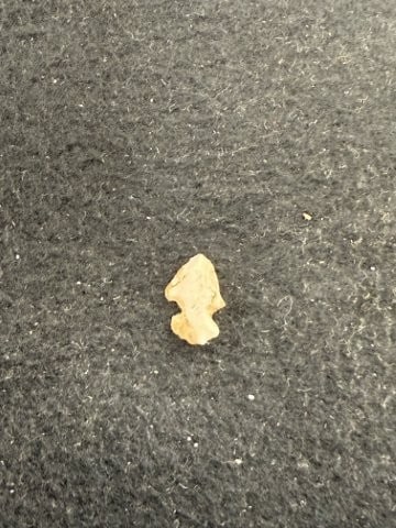 Arrow Point Indian Artifact Arrowhead - 2