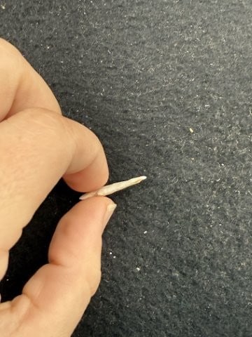 Arrow Point Indian Artifact Arrowhead - 3