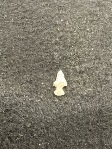 Arrow Point Indian Artifact Arrowhead - 2