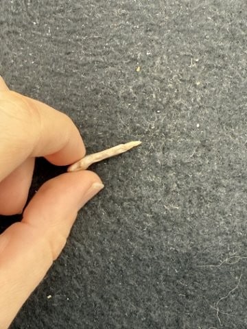 Arrow Point Indian Artifact Arrowhead - 3