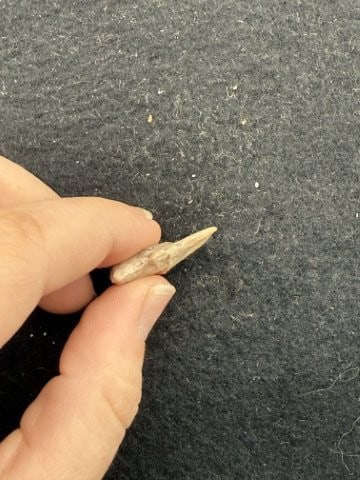 Arrow Point Indian Artifact Arrowhead - 3