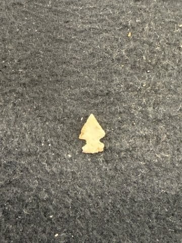 Arrow Point Indian Artifact Arrowhead - 2