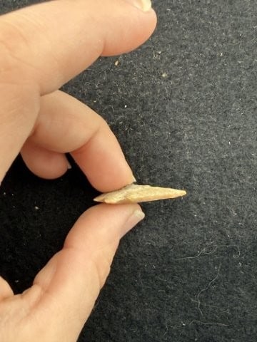 Arrow Point Indian Artifact Arrowhead - 3