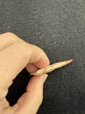 Arrow Point Indian Artifact Arrowhead - 3