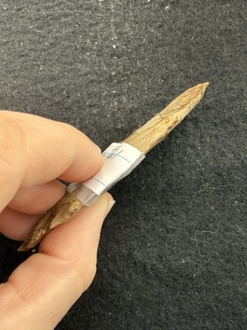 Turkeytail Indian Artifact Arrowhead - 3