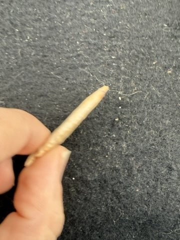 Arrow Point Indian Artifact Arrowhead - 2