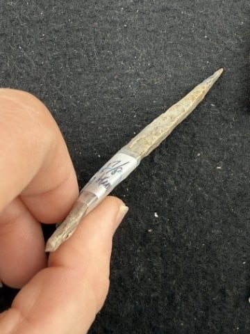Dalton Indian Artifact Arrowhead - 3