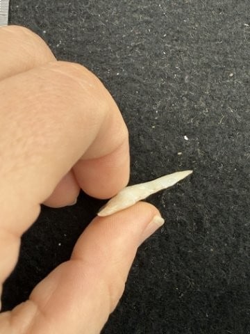 Arrow Point Indian Artifact Arrowhead - 3