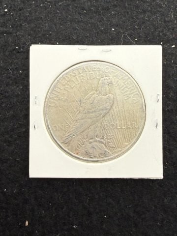 1925 Peace Silver Dollar Coin - 2