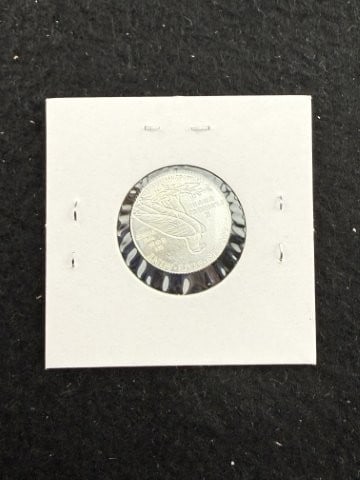1/10th Fine Silver Coin - 2