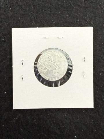 1/10th Fine Silver Coin - 2