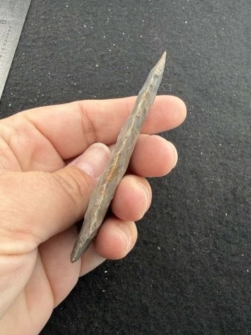 Pine Tree Indian Artifact Arrowhead - 4