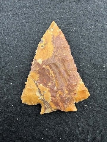 Pine Tree Indian Artifact Arrowhead - 2