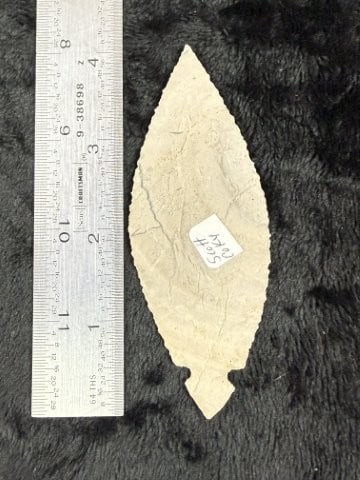 Turkeytail from Scott County, Kentucky Indian Artifact Arrowhead: KEY WORDS: INDIAN ARTIFACT ARTIFACTS ARROWHEAD ARROWHEADS NATIVE AMERICAN MISSISSIPPIAN QUAPAW CADDO POTTERY COINS MORGAN DOLLAR PEACE DOLLAR SILVER COINS. All coins have been Sigma tested for authent