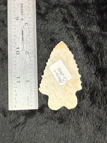 Pine Tree from Marion County, Ohio Indian Artifact Arrowhead: KEY WORDS: INDIAN ARTIFACT ARTIFACTS ARROWHEAD ARROWHEADS NATIVE AMERICAN MISSISSIPPIAN QUAPAW CADDO POTTERY COINS MORGAN DOLLAR PEACE DOLLAR SILVER COINS. All coins have been Sigma tested for