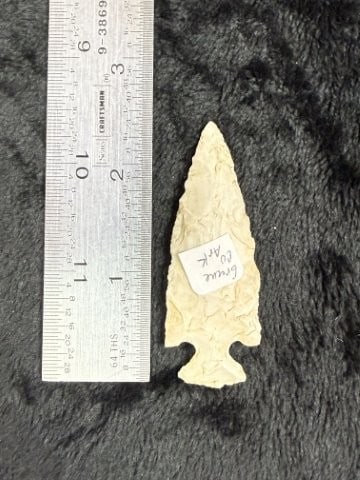 Arrow from Greene County Arkansas Point Indian Artifact Arrowhead: KEY WORDS: INDIAN ARTIFACT ARTIFACTS ARROWHEAD ARROWHEADS NATIVE AMERICAN MISSISSIPPIAN QUAPAW CADDO POTTERY COINS MORGAN DOLLAR PEACE DOLLAR SILVER COINS. All coins have been Sigma tested for authent