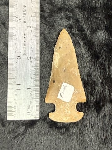 Thebes from Florida Indian Artifact Arrowhead: KEY WORDS: INDIAN ARTIFACT ARTIFACTS ARROWHEAD ARROWHEADS NATIVE AMERICAN MISSISSIPPIAN QUAPAW CADDO POTTERY COINS MORGAN DOLLAR PEACE DOLLAR SILVER COINS. All coins have been Sigma tested for authent