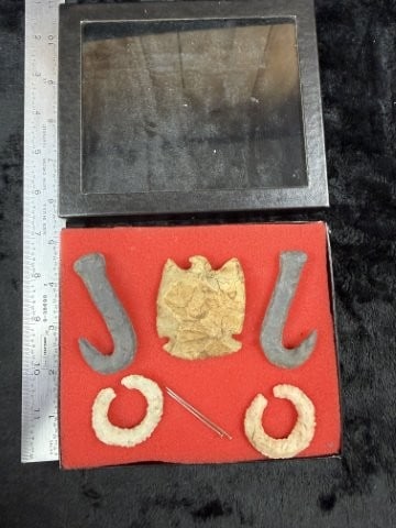 Group of Arrow Points Riker Frame IS included Indian Artifact Arrowhead: KEY WORDS: INDIAN ARTIFACT ARTIFACTS ARROWHEAD ARROWHEADS NATIVE AMERICAN MISSISSIPPIAN QUAPAW CADDO POTTERY COINS MORGAN DOLLAR PEACE DOLLAR SILVER COINS. All coins have been Sigma tested for