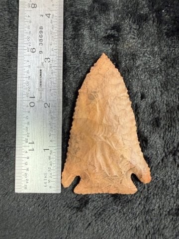 Pine Tree Indian Artifact Arrowhead
