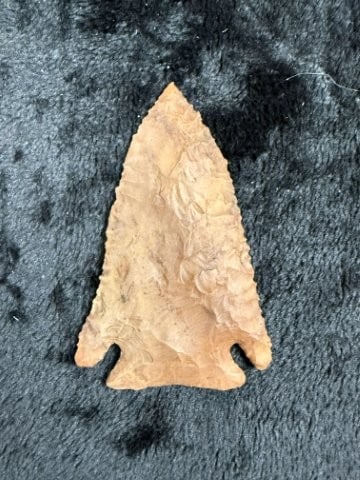 Pine Tree Indian Artifact Arrowhead - 2