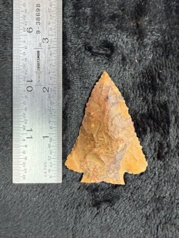 Fox Valley Indian Artifact Arrowhead: KEY WORDS: INDIAN ARTIFACT ARTIFACTS ARROWHEAD ARROWHEADS NATIVE AMERICAN MISSISSIPPIAN QUAPAW CADDO POTTERY COINS MORGAN DOLLAR PEACE DOLLAR SILVER COINS. All coins have been Sigma tested for