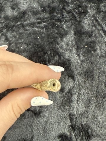 Trade Pipe Indian Artifact Arrowhead - 4