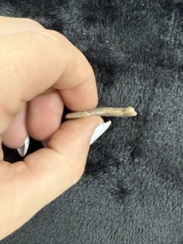 Flint Hook Indian Artifact Arrowhead - 3