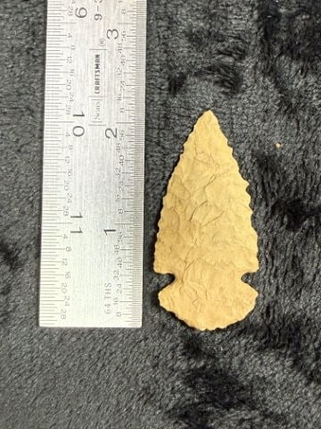 Arrow Point Indian Artifact Arrowhead: KEY WORDS: INDIAN ARTIFACT ARTIFACTS ARROWHEAD ARROWHEADS NATIVE AMERICAN MISSISSIPPIAN QUAPAW CADDO POTTERY COINS MORGAN DOLLAR PEACE DOLLAR SILVER COINS. All coins have been Sigma tested for