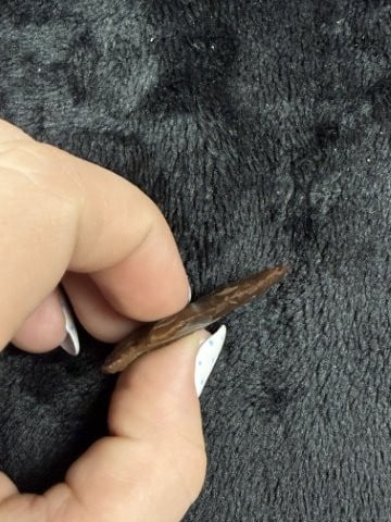 Arrow Point Indian Artifact Arrowhead - 3