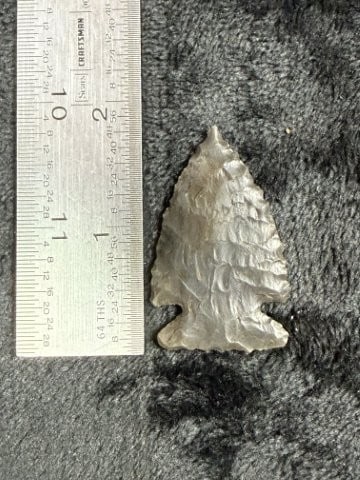 Pine Tree Indian Artifact Arrowhead: KEY WORDS: INDIAN ARTIFACT ARTIFACTS ARROWHEAD ARROWHEADS NATIVE AMERICAN MISSISSIPPIAN QUAPAW CADDO POTTERY COINS MORGAN DOLLAR PEACE DOLLAR SILVER COINS. All coins have been Sigma tested for