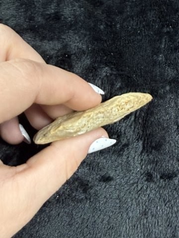 Arrow Point Indian Artifact Arrowhead - 3