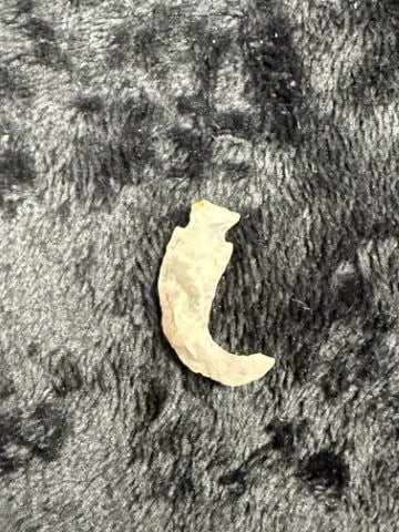 Flint Hook Indian Artifact Arrowhead - 2