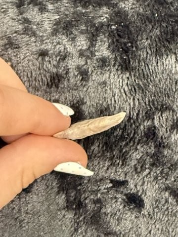 Flint Hook Indian Artifact Arrowhead - 3