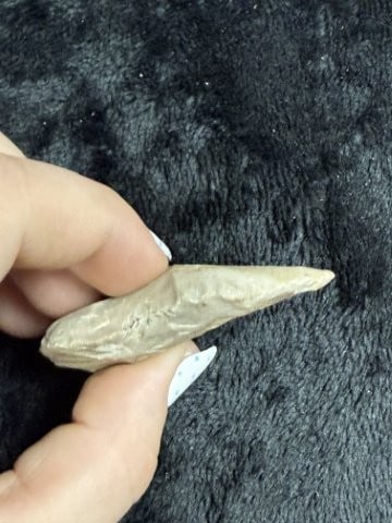 Drill Indian Artifact Arrowhead - 3