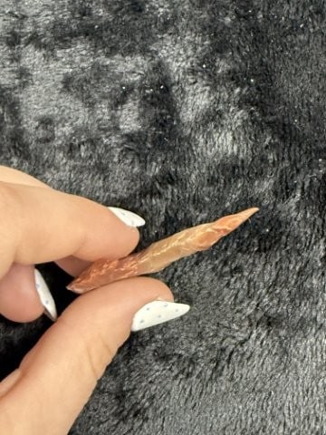 Flint Hook Indian Artifact Arrowhead - 3