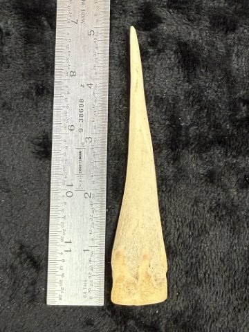 Bone Pin Indian Artifact Arrowhead: KEY WORDS: INDIAN ARTIFACT ARTIFACTS ARROWHEAD ARROWHEADS NATIVE AMERICAN MISSISSIPPIAN QUAPAW CADDO POTTERY COINS MORGAN DOLLAR PEACE DOLLAR SILVER COINS. All coins have been Sigma tested for