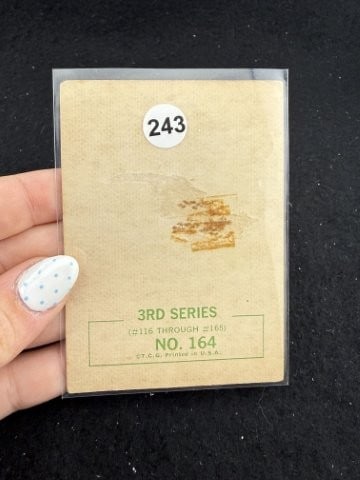 Beetle Card - 2