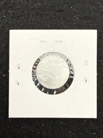 1/10th Fine Silver Coin - 2